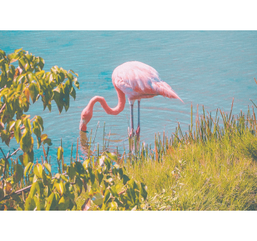 Tapisserie animaux sérénité du flamant rose - TenStickers
