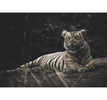Tapisserie animaux tigre majestueux en position - TenStickers