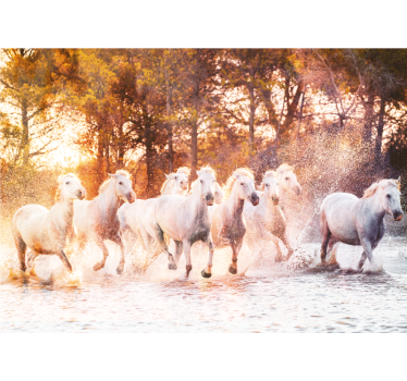 Tapisserie animaux chevaux majestueux en course - TenStickers