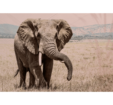 Tapisserie autres animaux Éléphant royal aura - TenStickers
