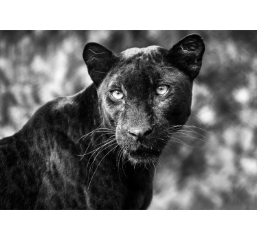 Tapisserie animaux tête de panthère noire - TenStickers