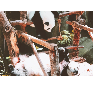 Tapisserie animaux scène de jeu avec panda - TenStickers