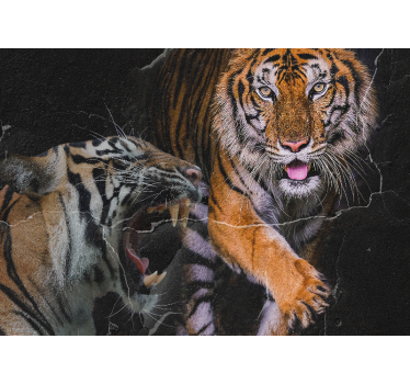 Tapisserie animaux rencontre avec le tigre majestueux - TenStickers