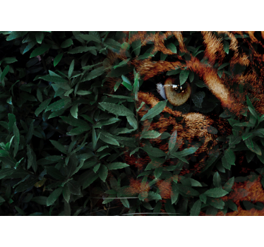 Tapisserie animaux léopard parmi le feuillage - TenStickers