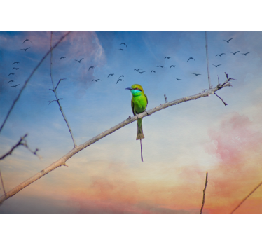 Tapisserie animaux oiseau sur branche - TenStickers