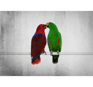 Tapisserie autres animaux interaction de perroquets colorés - TenStickers