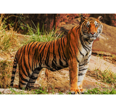 Tapisserie animaux présence du tigre majestueux - TenStickers