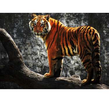 Tapisserie animaux tigre royal en position - TenStickers