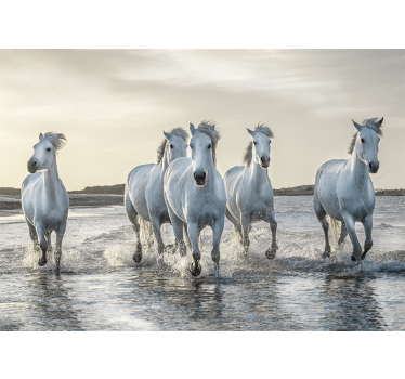 Tapisserie murale chevaux blancs au galop  - TenStickers