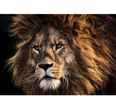 Tapisserie lion œuvre d'art majestueuse - TenStickers