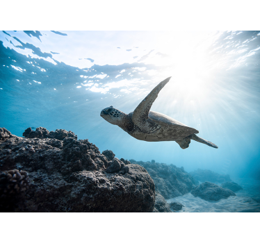 Tapisserie autres animaux scène de tortue sous-marine - TenStickers