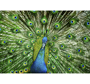 Tapisserie animaux affichage de plumes de paon - TenStickers
