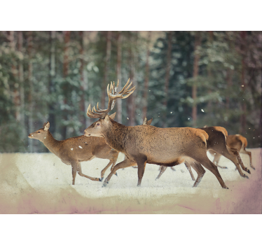 Tapisserie animaux troupeau de cerfs majestueux - TenStickers