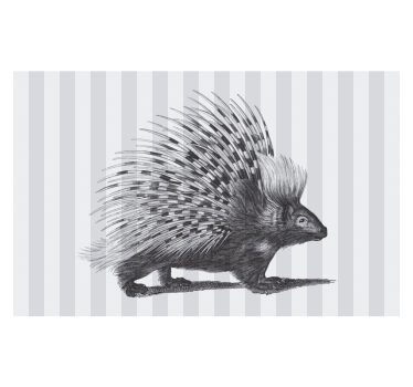Tapisserie animaux design pics de porc-épic - TenStickers