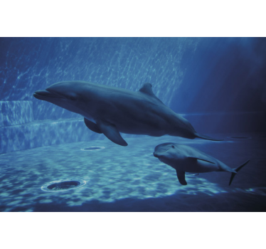 Tapisserie animaux dauphins nageant ensemble - TenStickers