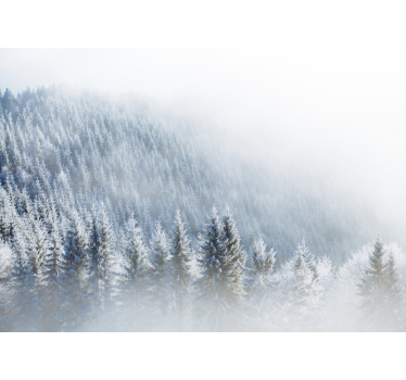 Photo murale paysage Arbres de noël enneigés - TenStickers