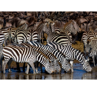 Tapisserie animaux zèbres en mouvement - TenStickers