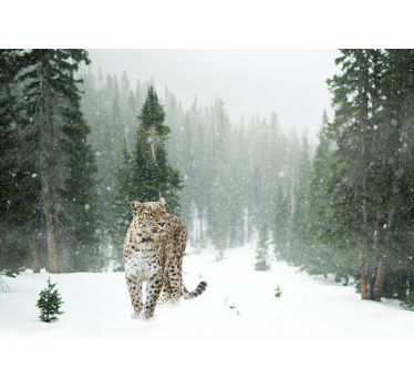 Tapisserie animaux promenade du léopard des neiges - TenStickers