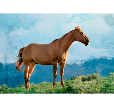 Tapisserie animaux présence majestueuse du cheval - TenStickers
