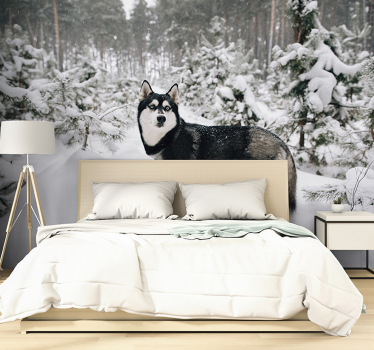 Papier peint mural forêt d'hiver et chien husky - TenStickers