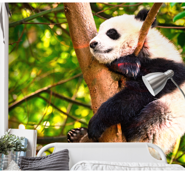 Tapisserie animaux bébé panda relaxant - TenStickers