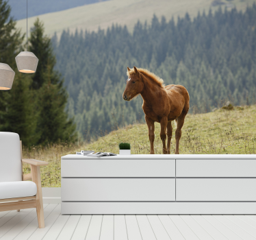 Tapisserie animaux cheval dans le pré - TenStickers