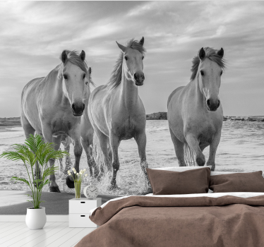 Tapisserie animaux chevaux royaux au galop - TenStickers