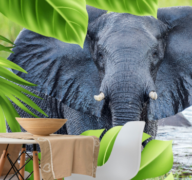 Tapisserie animaux expérience Éléphant royal - TenStickers