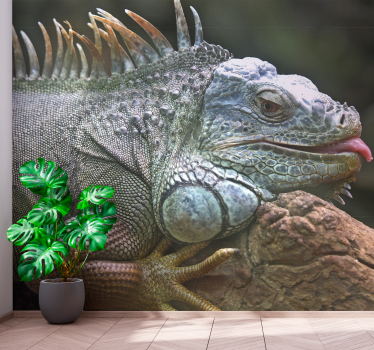 Tapisserie animaux iguane majestueux en gros plan - TenStickers