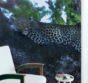 Tapisserie animaux léopard se reposant confortablement - TenStickers