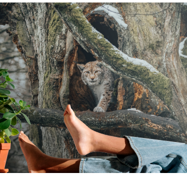 Tapisserie animaux lynx dans un arbre - TenStickers
