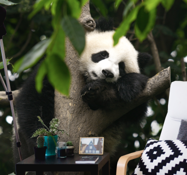 Tapisserie animaux panda se reposant sur un arbre - TenStickers