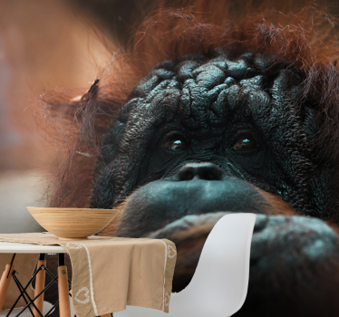 Tapisserie animaux regard pensif de l'orang-outan - TenStickers