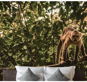 Tapisserie animaux singe sur une branche - TenStickers