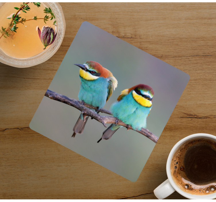 Dessous de verre moderne oiseaux colorés perchés - TenStickers