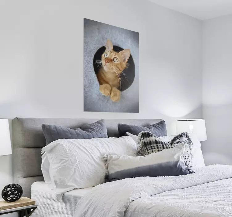 Poster avec photo de chat - TenStickers