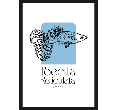 Poster poisson guppy minimaliste - TenStickers