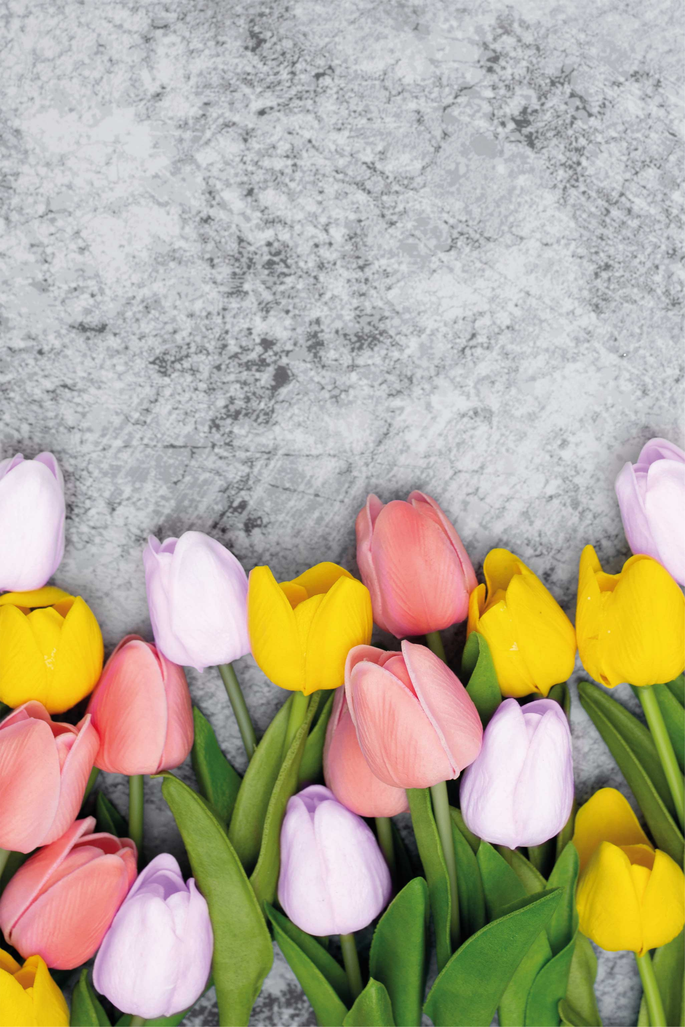 Poster cuisine fleurs de tulipes similaires - TenStickers