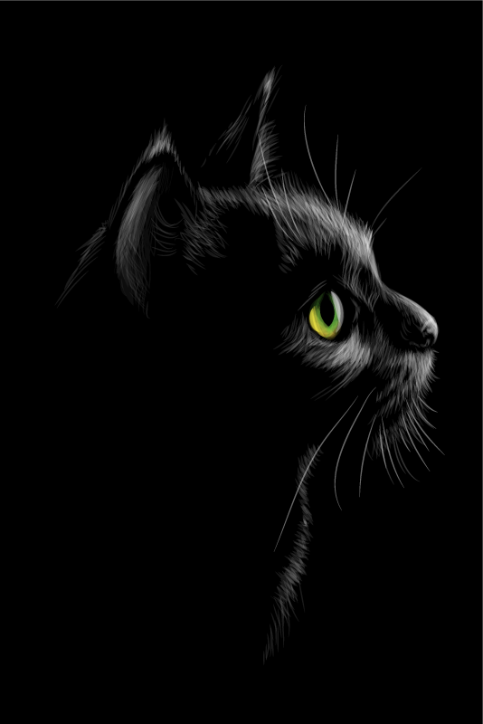 Poster salon gatos aux yeux verts - TenStickers