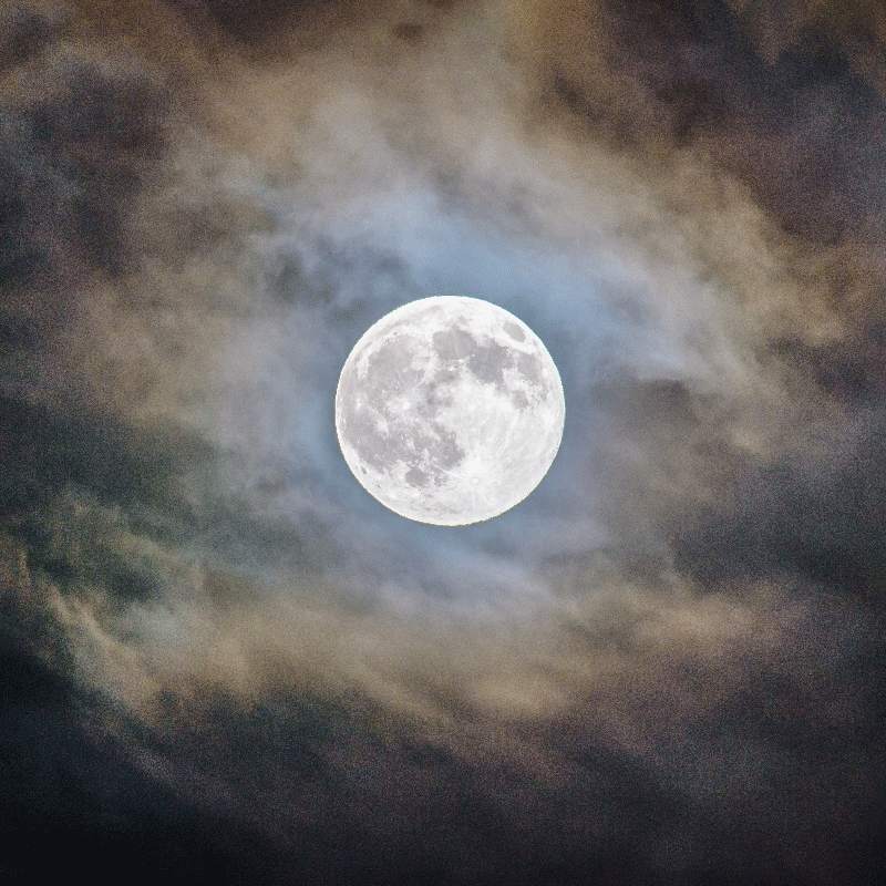 Poster salon nuit de pleine lune - TenStickers