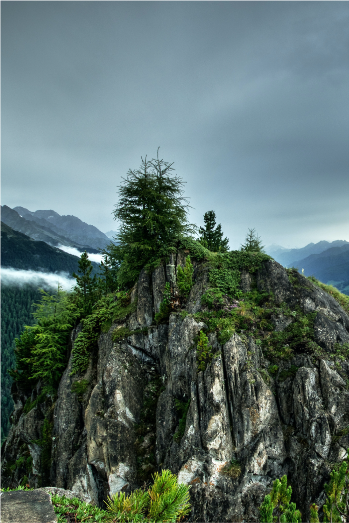 Poster salon pierre unique dans la forêt verte - TenStickers