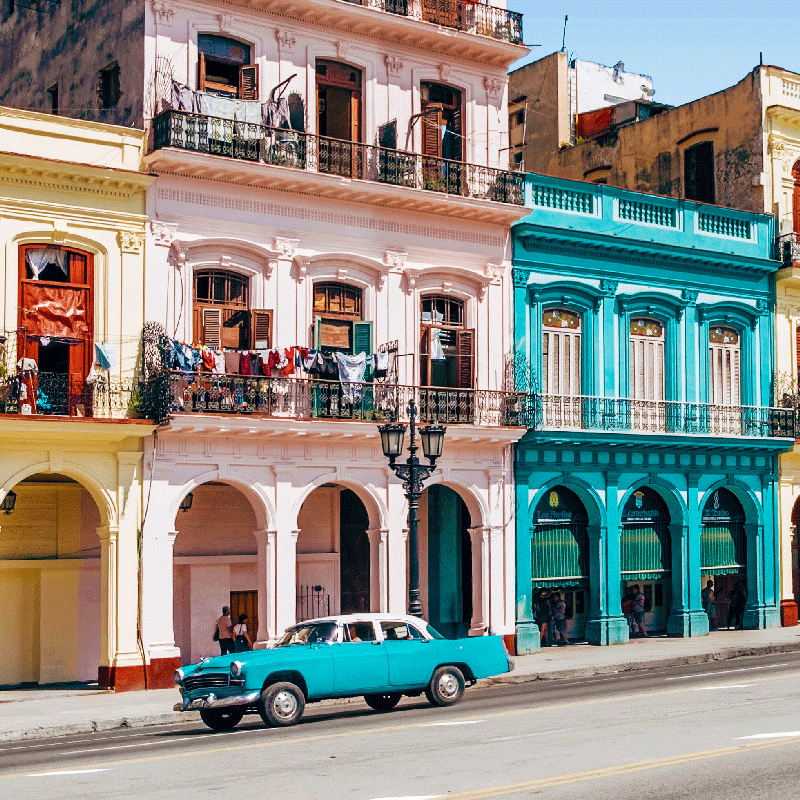 Poster salon design de rue et de voiture bleu et rose - TenStickers