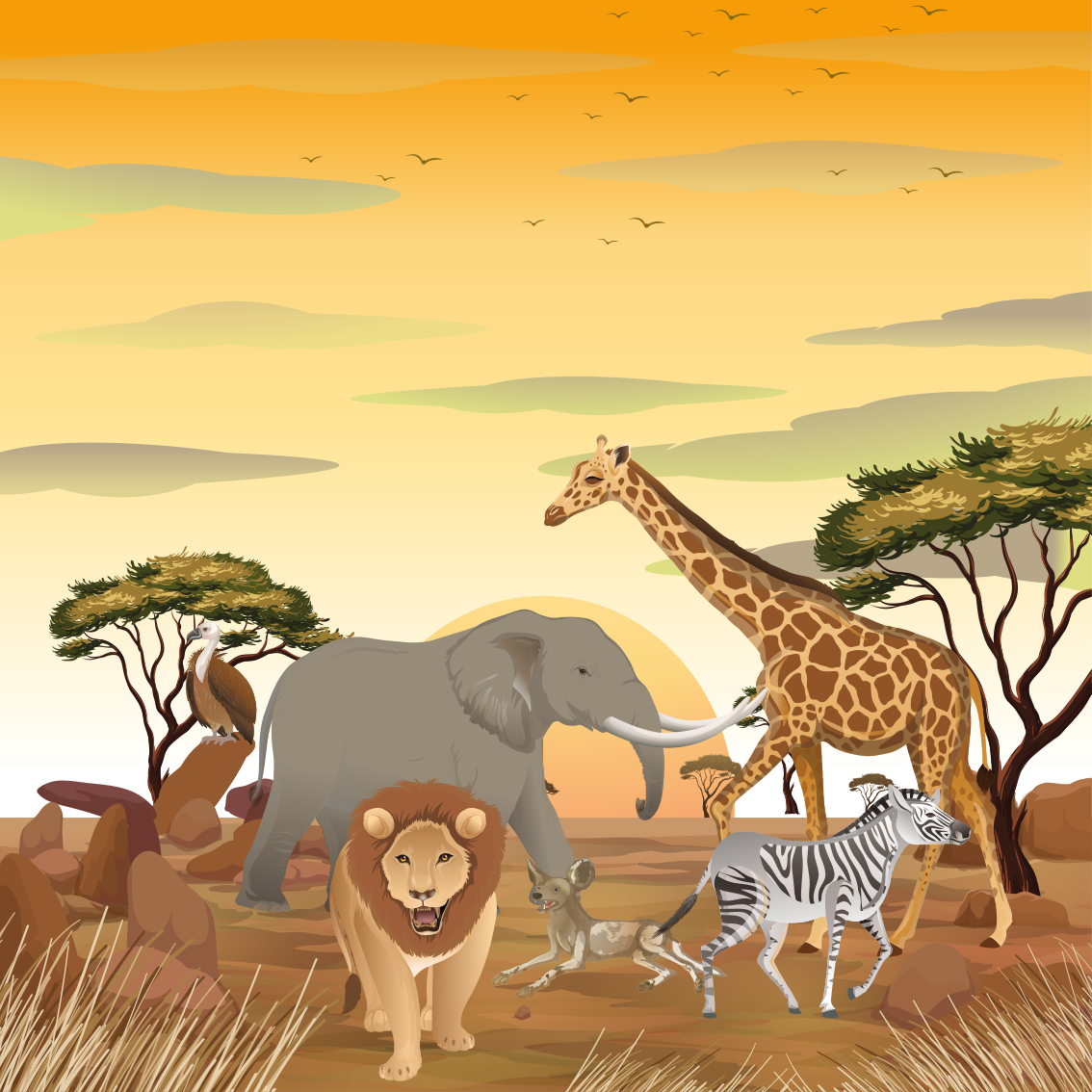 Poster chambre enfant animaux africains et plantes - TenStickers