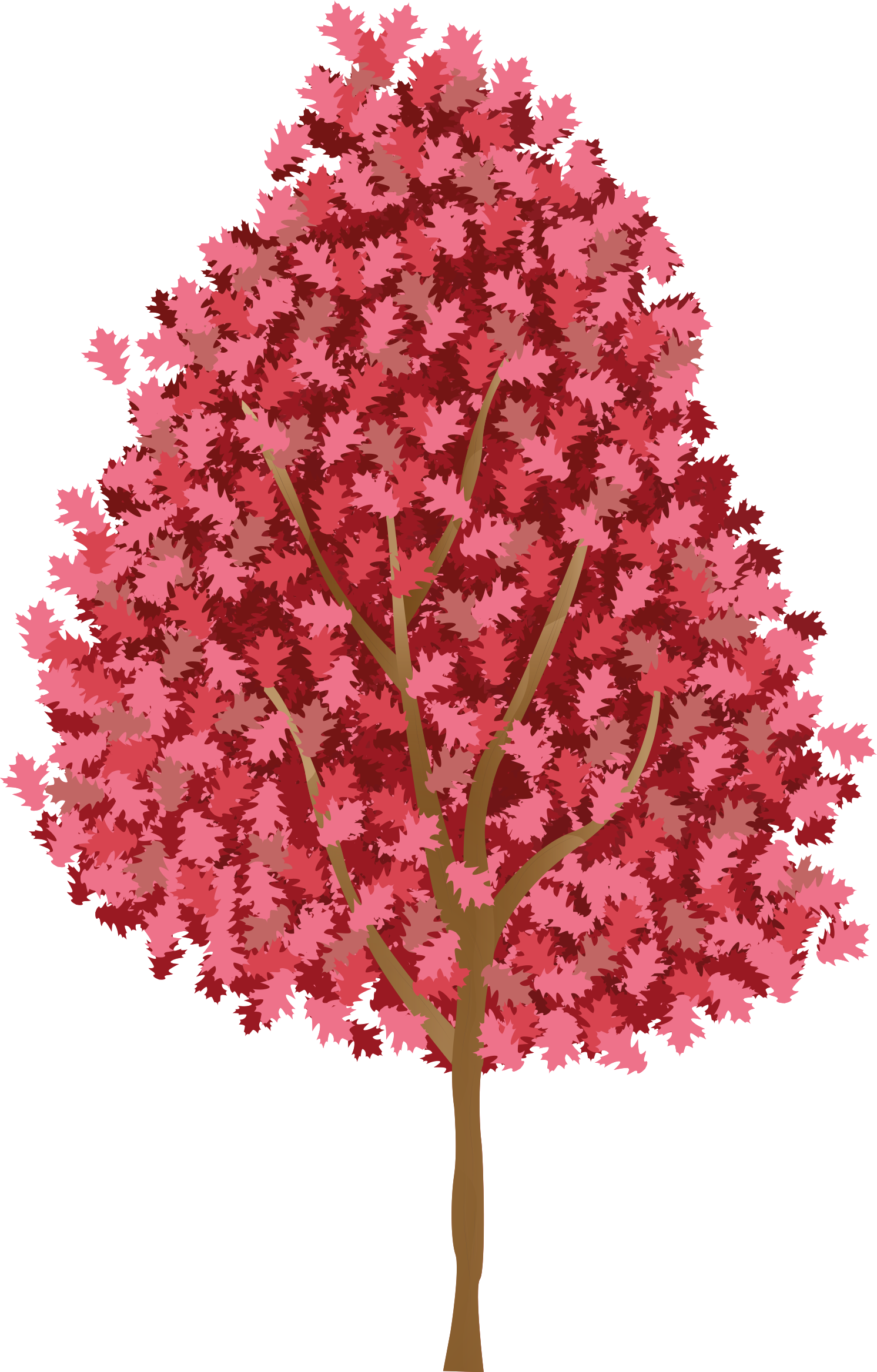 Poster arbre fleurs roses - TenStickers