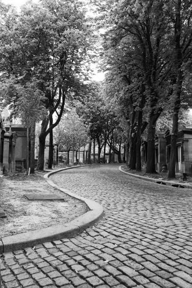 Poster paysages vinyle chemin noir et blanc - TenStickers