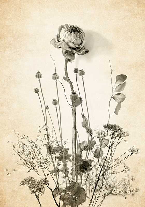 Poster fleurs bouquet de fleurs sur fond beige - TenStickers