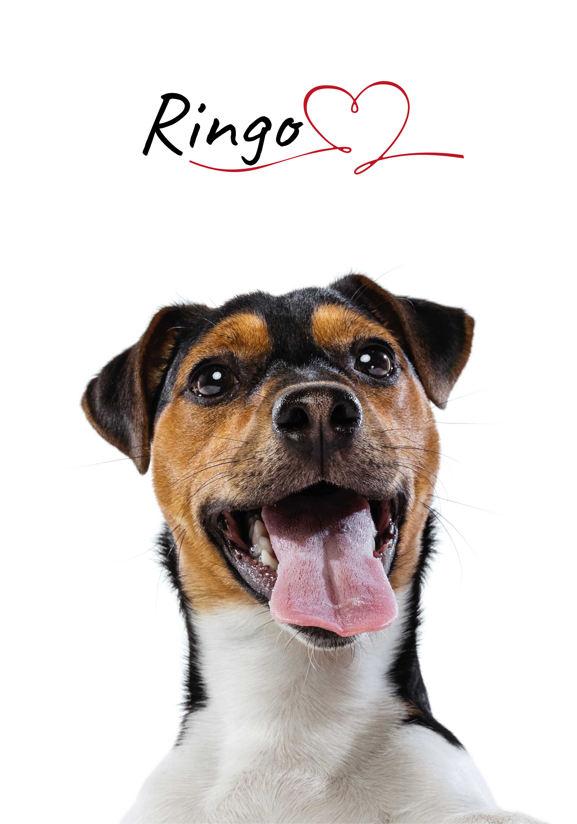 Poster amour de chien personnalisable - TenStickers