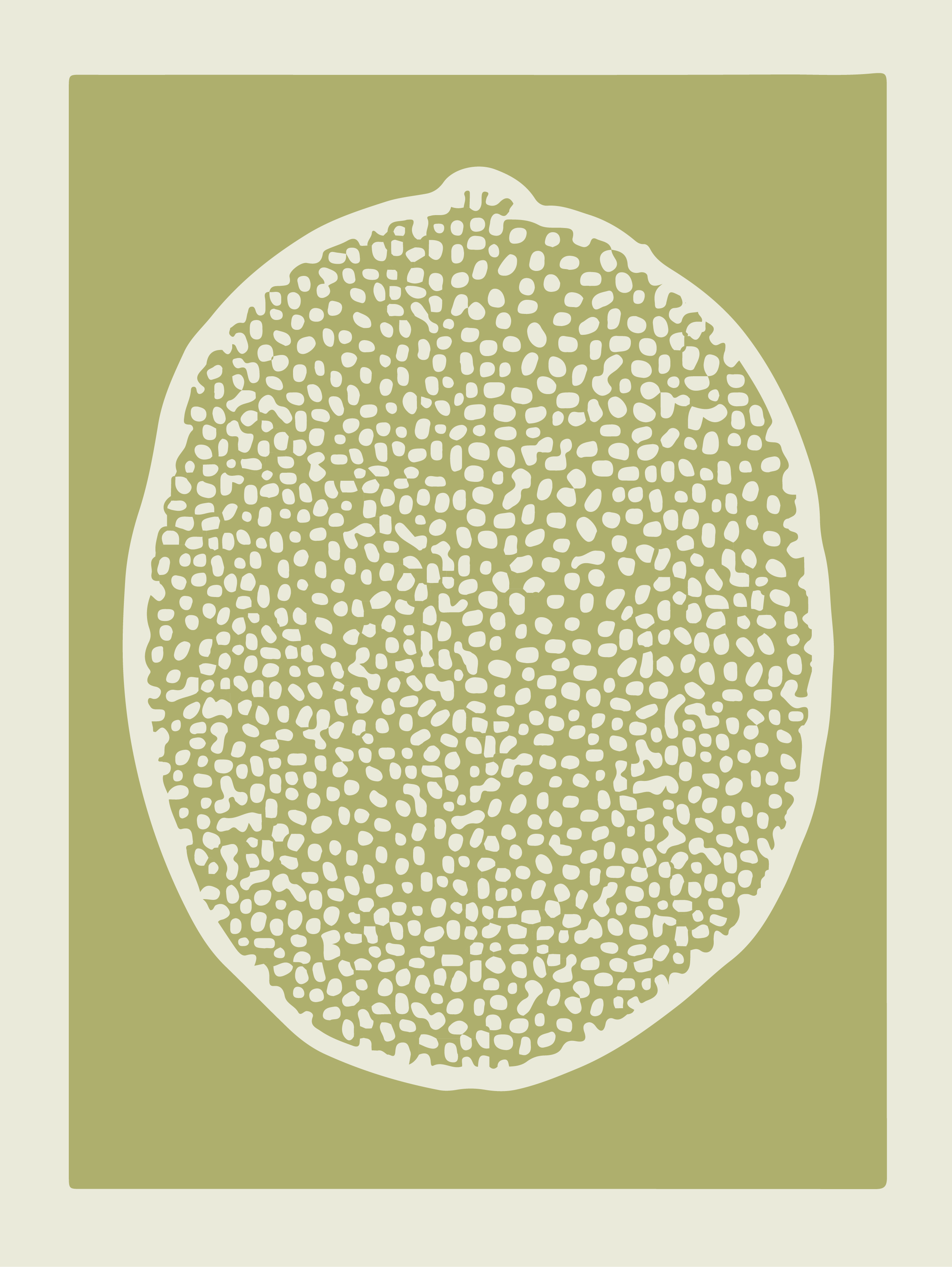 Poster nordique tranches de citron vert - TenStickers