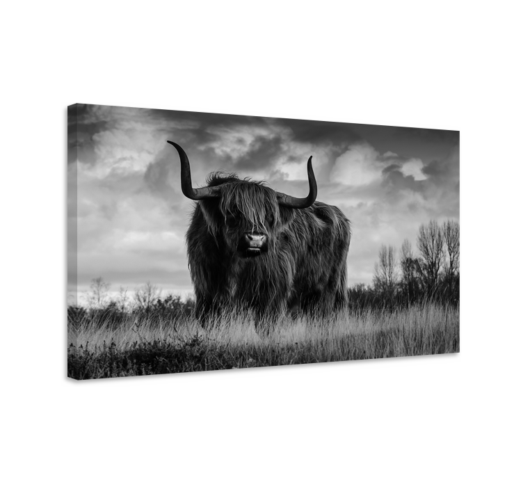 Tableau animal Bovins highland noir et blanc - TenStickers