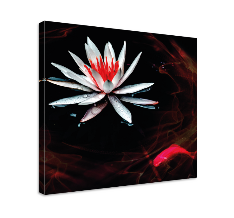 Tableau fleurs et plantes lotus sur l'eau - TenStickers